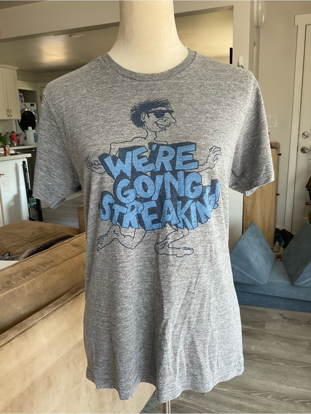 🏊‍♂️Homage Old School Movie We're Going Streaking Graphic T-Shirt Gray M